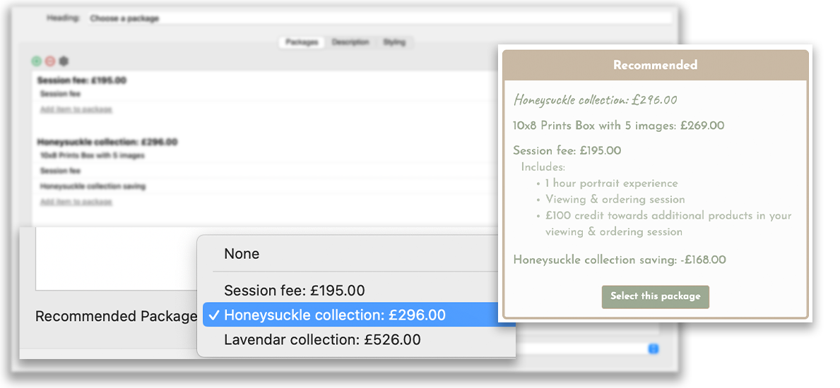 Package A Is Included Packages, Add-Ons & Summary Blocks in Your Proposal – Light Blue